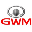 GWM Remaps
